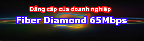FiberDiamond 11.000.000đ/tháng